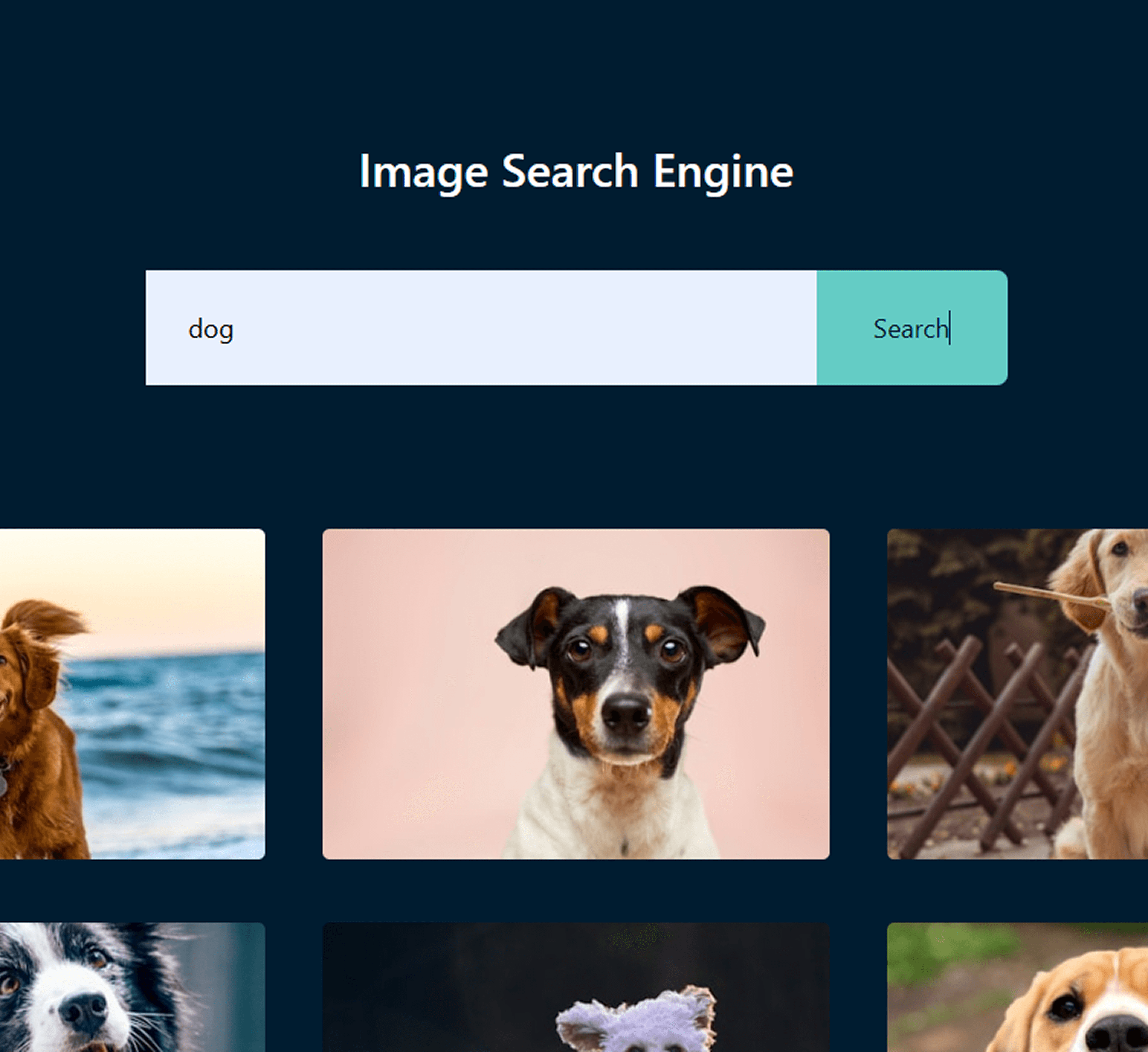 PET IMAGE GENERATOR